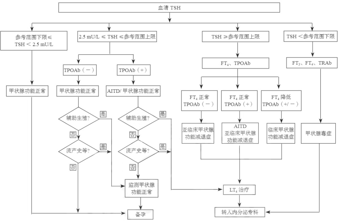 孕前血清TSH篩查、診斷和管理流程