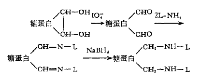 過碘酸鹽氧化結合法