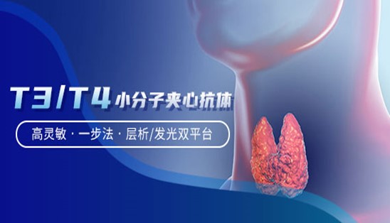 【小分子夾心法】甲功T3/T4，高靈敏&一步法